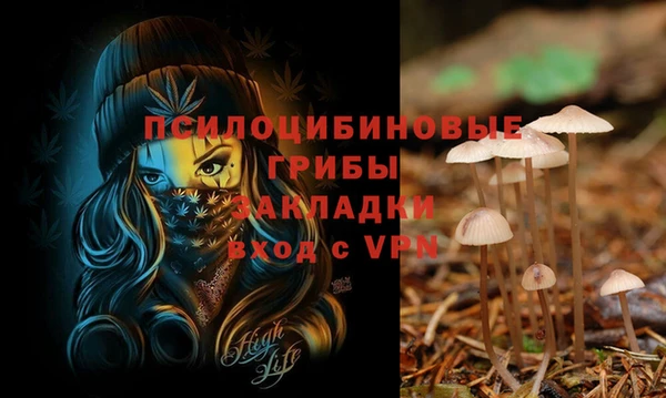 крисы Алексеевка